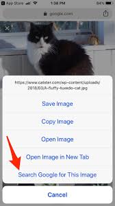 How To Reverse Search An Image On Google With Your Phone Or Computer Business Insider