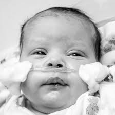 Brian, Author at Roeder Mortuary