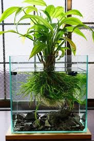 A Little Inspiration To Decorate A Small Aquarium 20 Ideas Garten Gardendesign Gartenideen Garden Garten Indoor Water Garden Planted Aquarium Plants