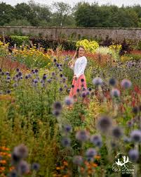 Maybe you would like to learn more about one of these? Best Things To Do In York England We Dream Of Travel Blog