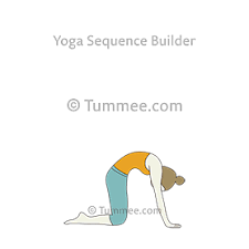 Scotch is the cute cow cat who wants to spread cuteness for kindness to help kitties and animal friends get some love they deserve. Cat Cow Pose Yoga Bitilasana Marjaryasana Yoga Sequences Benefits Variations And Sanskrit Pronunciation Tummee Com