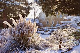 Devenez Incollable Sur Le Jardin En Hiver Jardin D Hiver Jardins Hiver