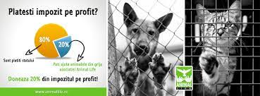 Vă invităm să fiți alături de noi prin direcționarea celor 20% din impozitul pe profit. Doneaza 20 Din Impozitul Pe Profit Animallife Sibiu