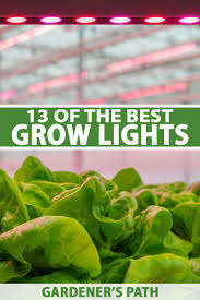 We did not find results for: 13 Of The Best Grow Lights For Indoor Gardens Gardener S Path