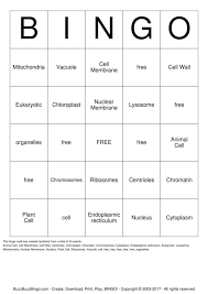 Check spelling or type a new query. Plant And Animal Cell Game Bingo Cards To Download Print And Customize