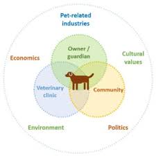 Pet health center of tiffin. Pdf Wsava Animal Welfare Guidelines