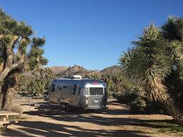 A campers guide to the newest whether you're out to explore joshua tree for the winter with the eagle eye of a snowbirding birdwatcher, or the park is just a launch pad for travels. Black Rock Campground Bewertungen Fotos Joshua Tree Nationalpark Kalifornien Tripadvisor