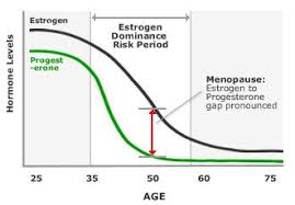 Progesterone Savannah Avenue Recovery Health Llc 912