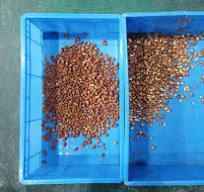 Ai Intelligent 600-1900kg/H Mini Belt Crawler Moel Coffee Beans Cherry  Garlic Plastic Chili Pepper Almonds Olive Pistachio Rice Color Sorter  Soring ...