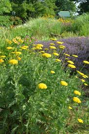 Kentucky Gardener Magazine Home Facebook