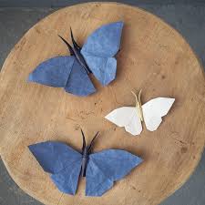 Here are my video instructions on how to fold your. Paper Metamorphosis Beautiful Looking Origami Butterflies
