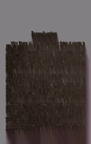 The Pedens of America; an outline history of the ancestry and descendants  of John Peden and Margaret McDill Peden: Scotland, Ire