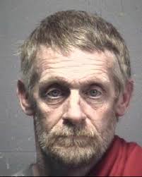 New Hanover K-9 units stop drug trafficking, larceny