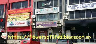 Jadi, bagaimana anda nak buat pilihan tepat? Flowers Of Life Klinik Pediatrik Adek Pakar Kanak Kanak Seksyen 9 Shah Alam