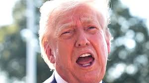 B.C. judge throws out Quesnel council's unanimous censuring of mayor