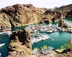 Xvideos.com account join for free log in. 17 Party Cove Ideas Party Cove Independence Day Cove