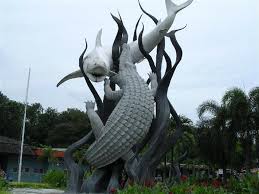 Agen Tricajus Surabaya