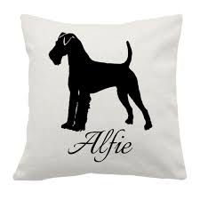 Image result for velšteriér