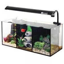 Aqua One Betta Trio Big Al S Betta Fish Tank Betta Aquarium Betta Fish