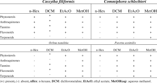Image result for Commiphora schlechteri