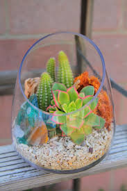Pin By Maria Jesus Aguirre On Jardins Succulent Terrarium Succulent Planter Cactus Terrarium