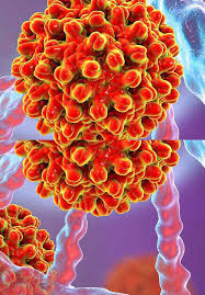Nov 21, 2017 · but you might not know the difference between hepatitis a, b and c, or why you should be concerned about them. Hepatitis B And C Viruses Intechopen