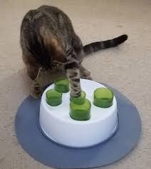 Adjust the hole in the slimcat to let one piece of food pass through easily. 17 Puzzles On Amazon That Actually Challenge Cats