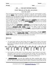 (a) activation of amino acids, (b) transfer of amino acid to trna, (c) initiation of polypeptide chain, (d) chain termination, (e) protein translocation. 1e Unit 6 Lab Protein Synthesis Name Biology Period Date Lab How Are Proteins Made In Cells Dna Gets All The Glory But Proteins Do All The Work Dna Is Course Hero