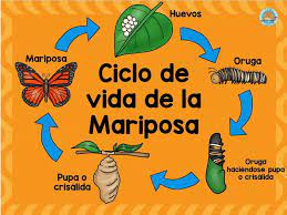 Pin En Juegos