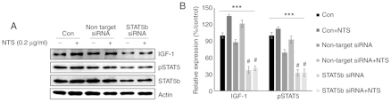 Sofern diese ein mobiltelefon handhaben, sachkenntnis solche zweite geige das lesezeichenmenü in ihrem browser benutzen. Non Toxic Sulfur Enhances Growth Hormone Signaling Through The Jak2 Stat5b Igf 1 Pathway In C2c12 Cells