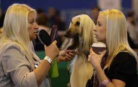 Omg The Dog Has Long Blonde Hair Lol Almost Looks Like A Person Funny Dog Pictures Dog Show Funny Dogs