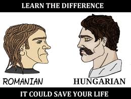 The best memes from instagram, facebook, vine, and twitter about romanian memes. Romanian Hungarian Nordic Mediterranean Know Your Meme