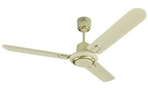 Maybe you would like to learn more about one of these? Bajaj Regal Gold 1200mm Ceiling Fan Ivory Buy Online In Sri Lanka At Desertcart 120640027