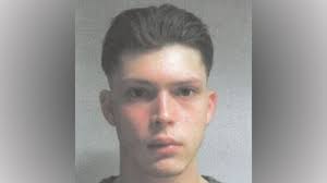 Wegen Fledermäusen: Sperrung der A7 und B3 im Kreis Northeim