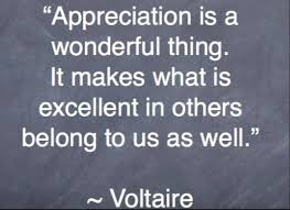 14 Quotes To Inspire You Voltaire Quotes Quotes Inspirational Quotes