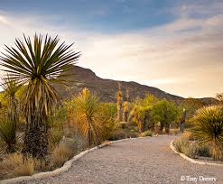 Belgium, france, spain, chinese republic, japan and switzerland can also send postal money orders. Wanderlist Desert Gardens May 2018 Tpw Magazine