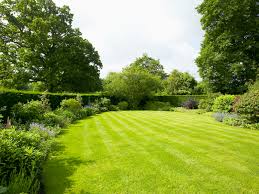 Certainly, grass clippings can perform a host of duties in the landscape, adding nutrients and keeping your yard waste bin empty. Tips For Growing A Green Lawn