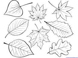 School's out for summer, so keep kids of all ages busy with summer coloring sheets. Fall Leaves And Trees Coloring Printables 1 1 1 1