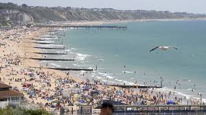 Wyatt cushman leaked of the lady has turned into my go-to