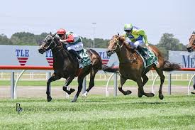 Keith Dryden isn't a regular at city meetings but he's never far off the  mark when his horses step up. Surprisingly his TAB Highway quinella