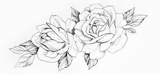 Start by drawing an open sided oval in the center of your page. Learn How To Draw A Rose Adobe