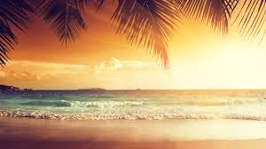 ❤ get the best sunset beach wallpaper on wallpaperset. Wallpaper Beautiful Sunset Palm Tree Leaves Beach Sea Tropical Summer 5120x2880 Uhd 5k Picture Image