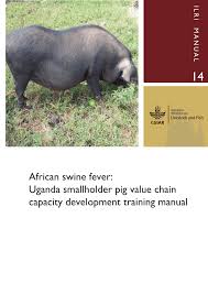 Clinical manifestations include fever, 'blotching' of the skin, incoordination, diarrhoea, vomiting and pneumonia. Pdf African Swine Fever Uganda Smallholder Pig Value Chain Capacity Development Training Manual