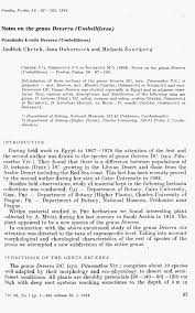 Image result for Deverra burchellii