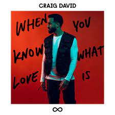Craig David When You Know What Love Is 2dopeboyz