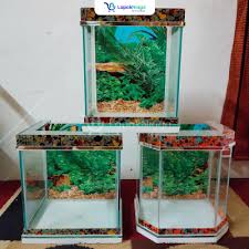 Jual tanaman aquascaping pupuk aquascaping peralatan aquascaping melayani eceran dan grosir. Jual Aquarium