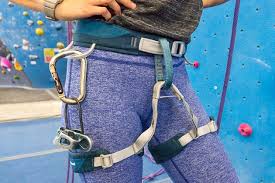 Image result for woman in a climbing harness