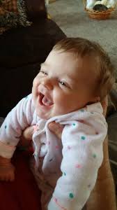 4 13 9 6 8 10 14 THE WEBTITLE 12 11 2