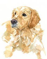 Not only that, but sometimes you can have a really good idea, but you may not know how to execute it. Easy Watercolor Painting Ideas For Beginners Retratos De Cachorros Arte Animal Retratos De Animais