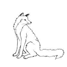 Forest Sea On Instagram Winter Fox Sketch For One Last Project Before Setting Up The Shop I M Really Enjoying This Fox Sketch Drawings Painting Drawing